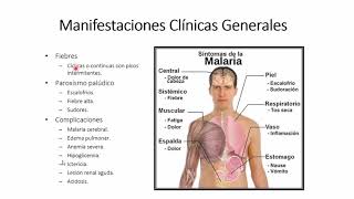 Parasitología y Micología  Malaria y Babesia [upl. by Nosde65]