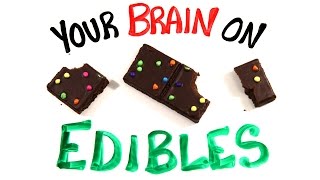 Your Brain On Edible Marijuana [upl. by Mommy178]