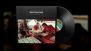 Crosby Stills amp Nash – In My Dreams Vinyl Visualizer [upl. by Boycey]