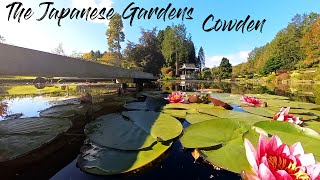 Japanese Garden Cowden [upl. by Kiona98]