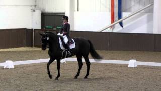 Addington High Profile 2014 Vivian Chang [upl. by Fellner]