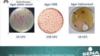 Análisis microbiologico en alimentos [upl. by Chrissie]