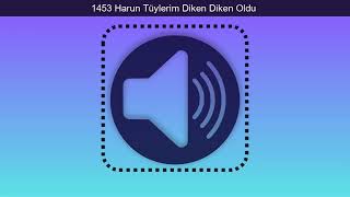 1453 Harun Tüylerim Diken Diken Oldu [upl. by Zipporah]