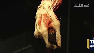 The famous BODY WORLDS exhibit returns to OMSI [upl. by Leeann]