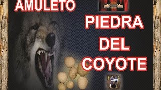 PROPIEDADES de la PIEDRA DEL COYOTE  AMULETO PODEROSO  Esoterismo Ayuda Espiritual [upl. by Enaxor]