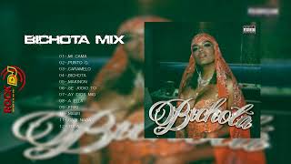 Bichota MixKarol G Radiomix [upl. by Rodl]