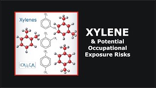 Xylene and Potential Occupational Exposure Risks [upl. by Yoko730]