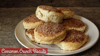 Cinnamon Crunch Biscuits [upl. by Alyat812]