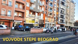 Vojvode Stepe BeogradFotoVoja [upl. by Nanreh]