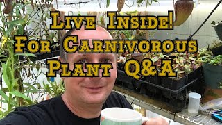 Carnivorous plant tour Live in the Greenhouse With lots of Nepenthes and lots of QampA [upl. by Ecinhoj197]