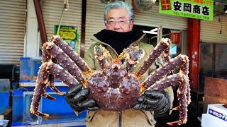 Japanese Street Food  GIANT ALASKAN KING CRAB Sashimi Hakodate Hokkaido Seafood Japan [upl. by Namsaj]