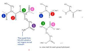 Recognising hydrolysis sites in a complex structure [upl. by Poul]