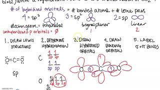 This Is How We Do It CO2 hybridization with Elizabeth [upl. by Dragelin]