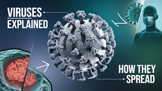 Viruses Explained What They Are and How They Spread  Complete Virus Guide [upl. by Iams123]