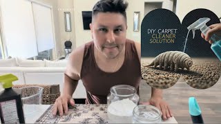 DIY CARPET CLEANER SOLUTIONHOMEMADE DISINFECTANT [upl. by Alphonse439]