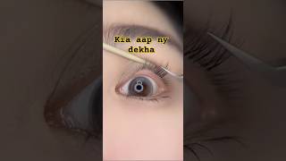 Kia Aap Ko Bhi Aisi Lashes Chahye shorts bestmakeuptransformations2024beautytipsforeverygirls [upl. by Uahsoj]