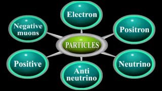 What are Leptons Physics Animation [upl. by Artair]