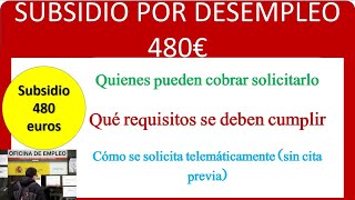 TUTORIAL CÓMO SOLICITAR SUBSIDIO 480 EUROS 2023 [upl. by Oiramad]