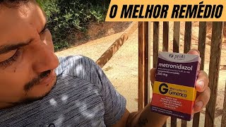 O MELHOR REMÉDIO QUE JÁ VI PARA GALINHAS [upl. by Avahc]