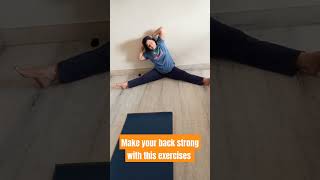 Back strengthening exercises [upl. by Aubine]