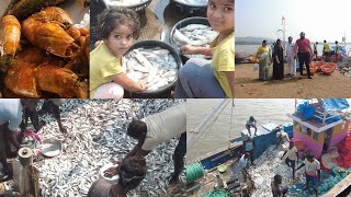 Jivana Bander  Fish 🐠🐟 Market  Shrivardhan  Konkan Series  Epi  04  2024 [upl. by Laurianne]