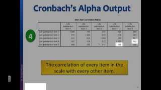 Reliability test Interpret Cronbachs alpha output in SPSS [upl. by Lenoj278]