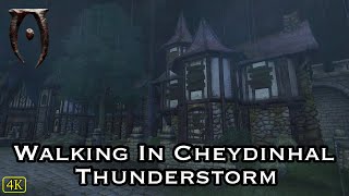 Oblivion  Walking In Cheydinhal With Thunderstorm Music amp Ambience  Jeremy Soule  Sleep amp Study [upl. by Allred368]