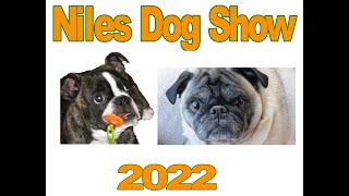 Niles Dog Show 2022 [upl. by Safier]