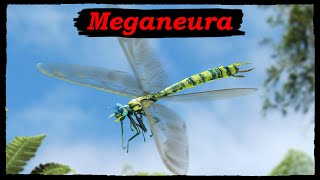 Meganeura the Falconsized quotDragonflyquot of the Carboniferous [upl. by Irving]