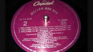 Mellow Man Ace  Welcome to My Groove [upl. by Einram]