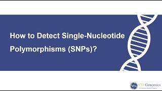 What is singlenucleotide polymorphism and how to detect it [upl. by Higgs200]