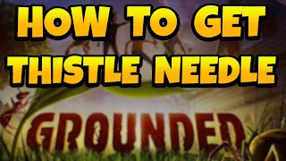 How to Get Thistle Needle in Grounded Fast [upl. by Anyaj]