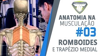 Peck Deck Invertido  Trapézio e Romboides  Anatomia na Musculação 3 [upl. by Enajyram441]