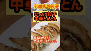 宇都宮の『びっくり餃子中華とんとん』の餃子が想像以上に大きくて本当にびっくり‼️そして美味しい‼️宇都宮グルメ 宇都宮餃子 [upl. by Gebhardt]