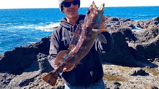 Rock Fishing The Oregon Coast Lingcod FISHING HEAVEN [upl. by Greene697]