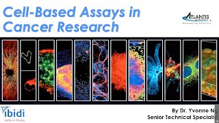 JuneJuly Atlantis Webinar on Cell Based Assays in Cancer Research [upl. by Ellora]