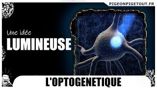 LOPTOGÉNÉTIQUE une idée lumineuse [upl. by Celtic867]