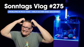 💦 Der Meerwasseraquaristik Sonntags Vlog EP 275 💦 Probleme im Pico Tank  Viele Sachen gekommen  💦 [upl. by Arol252]