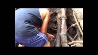 Port Douglas Aboriginal Spear Hunting [upl. by Willa770]