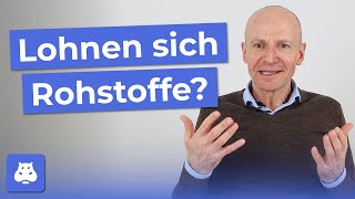 Sollte man in Rohstoffe investieren G Kommer über Rohstoffe amp Gold im Portfolio  Gerd Kommer 33 [upl. by Korie]