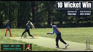 Pway Lions Vs Sunrisers CC  60 Chase in 4 Overs  NJSBCL 2024 [upl. by Eslehc]