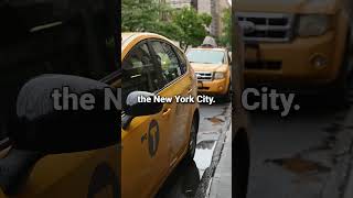 How many YELLOW CAB TAXI are in NEW YORK didyouknow facts fact travel car usa newyork cars [upl. by Naira309]