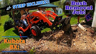 Kubota BX Removing Bushes and Stumps On A Steep Hillside Side Job [upl. by Rihana661]