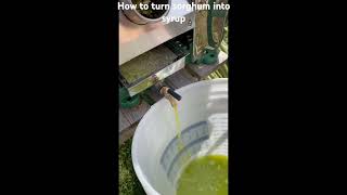 How to turn sorghum into syrup from start to finish [upl. by Lagas]