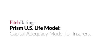 PRISM  US Life Model  Capital Adequacy Model for Insurers [upl. by Placida]