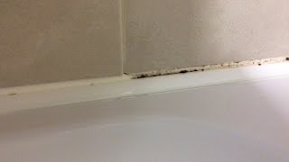 How To Remove Mold Mould From Silicone Sealant In Bathroom Shower [upl. by Cherice]