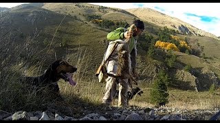 CACCIA ALLA LEPRE IN MONTAGNA  Ep 22 Seguita devastante con lepre presa dai cani [upl. by Strenta]