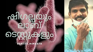 SHIGELLAഷിഗല്ല Lab Diagnosis [upl. by Tennaj]