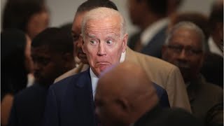 Theyd be up his a Joe Rogan unleashes on corrupt career politician Joe Biden [upl. by Eiuqnimod826]