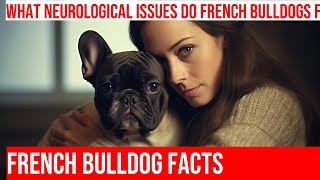 Neurological Issues in French Bulldogs What You Need To Know [upl. by Aelahs]